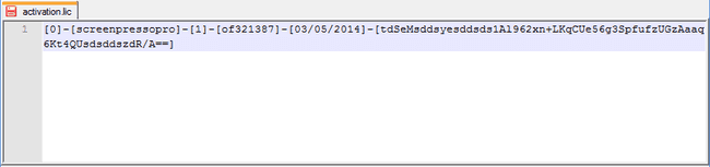 Screenshot of activation.lic